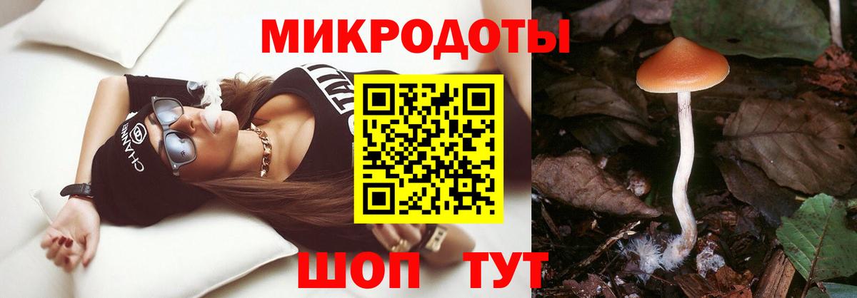 Галлюциногенные грибы MAGIC MUSHROOMS  Вход с VPN  Жуковский 